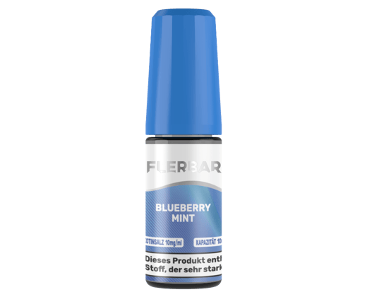 Flerbar Liquid - Blueberry Mint - Nikotinsalz Liquid 10 mg/ml