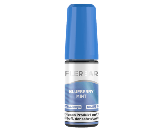 Flerbar Liquid - Blueberry Mint - Nikotinsalz Liquid 20 mg/ml